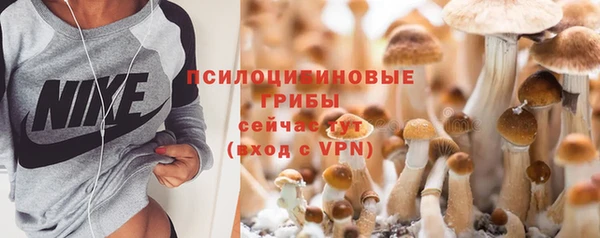 бутират Вяземский